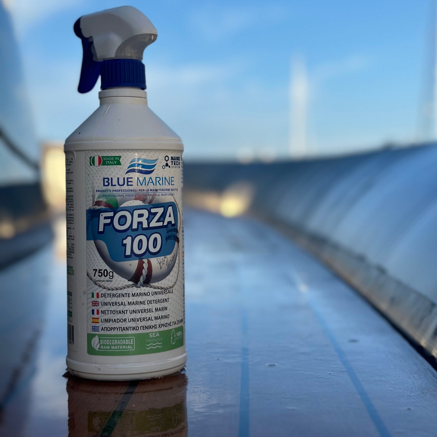 Detergente multi-superficie Forza 100